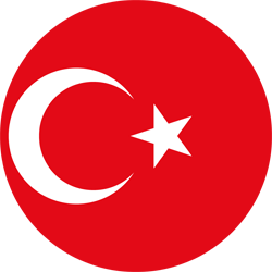 Türkçe